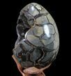 Septarian Dragon Egg Geode - Removable Section #89782-5